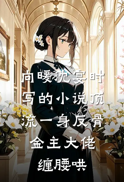 向暖沈宴时写的小说顶流一身反骨，金主大佬缠腰哄