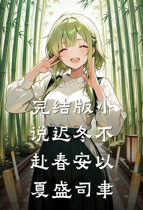 完结版小说迟冬不赴春安以夏盛司聿