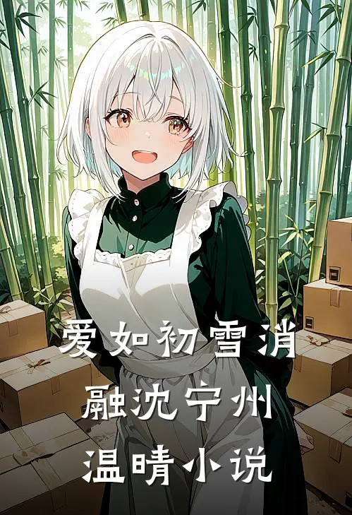 爱如初雪消融沈宁州温晴小说