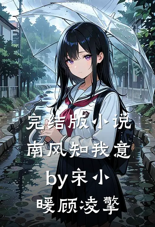 完结版小说南风知我意by宋小暖顾凌擎