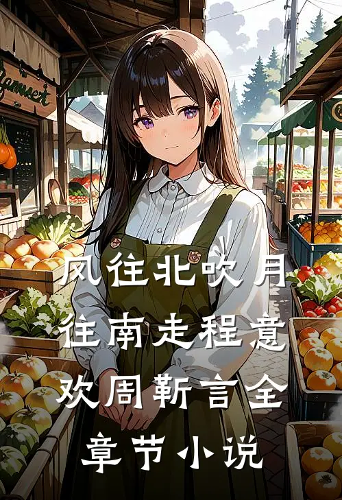 风往北吹月往南走程意欢周靳言全章节小说