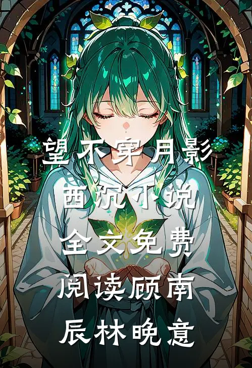 望不穿月影西沉小说全文免费阅读顾南辰林晚意