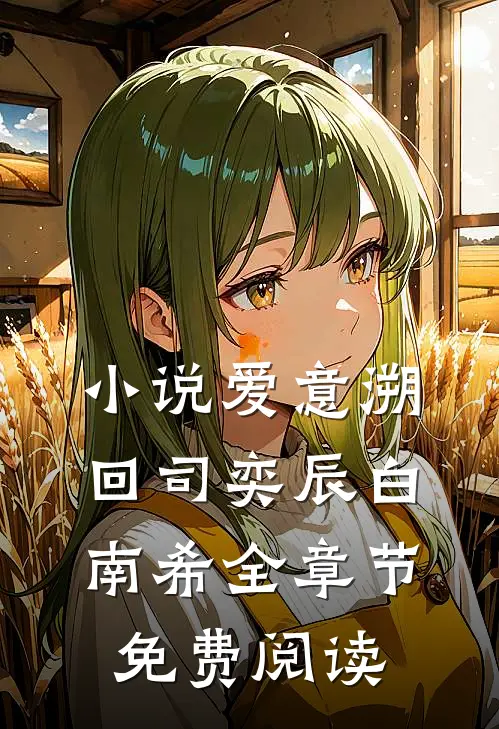 小说爱意溯回司奕辰白南希全章节免费阅读