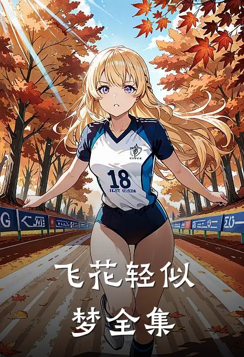 飞花轻似梦全集