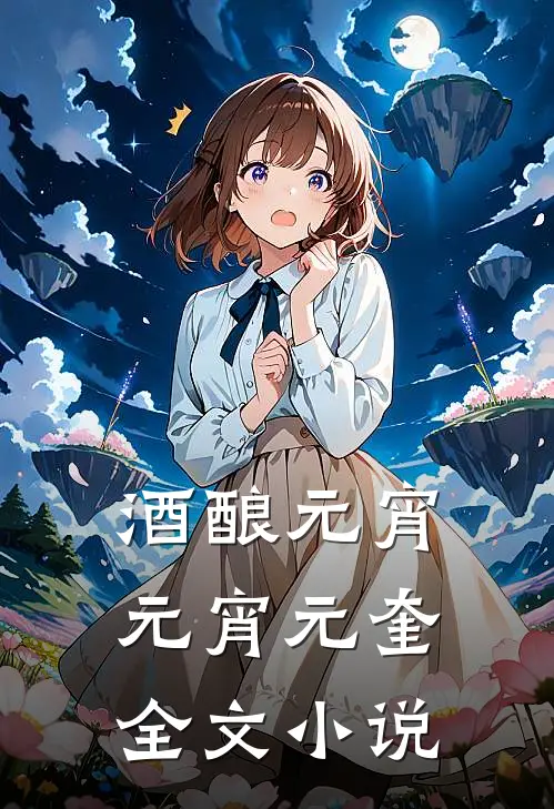 酒酿元宵元宵元奎全文小说