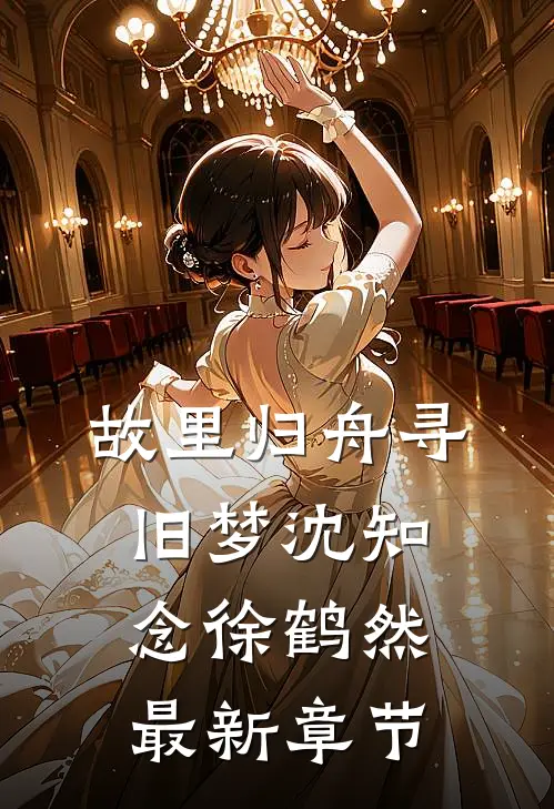 故里归舟寻旧梦沈知念徐鹤然最新章节
