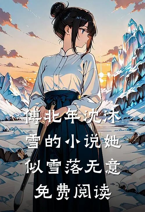 傅北年沈沐雪的小说她似雪落无意免费阅读