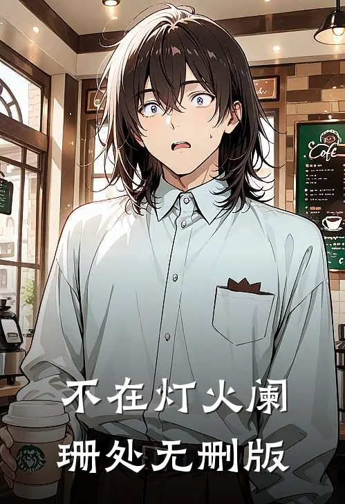 不在灯火阑珊处无删版