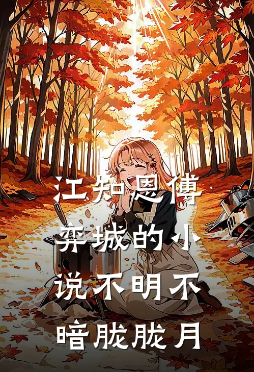 江知恩傅弈城的小说不明不暗胧胧月