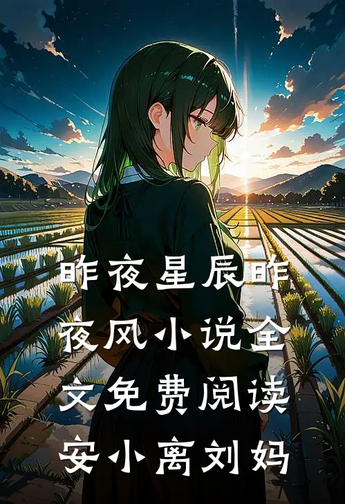昨夜星辰昨夜风小说全文免费阅读安小离刘妈
