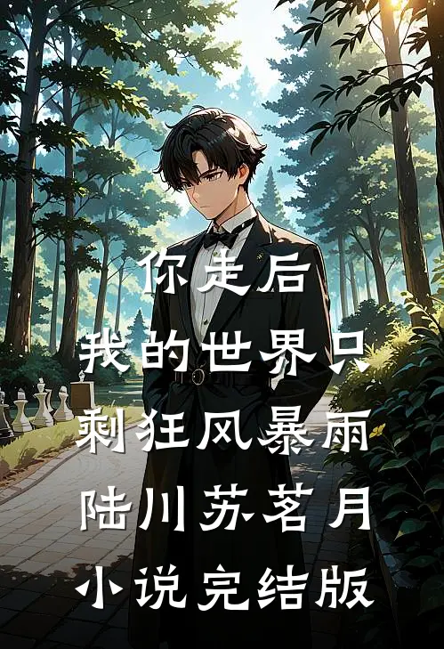 你走后，我的世界只剩狂风暴雨陆川苏茗月小说完结版