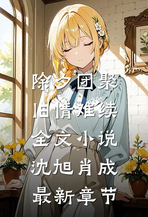 除夕团聚，旧情难续全文小说沈旭肖成最新章节