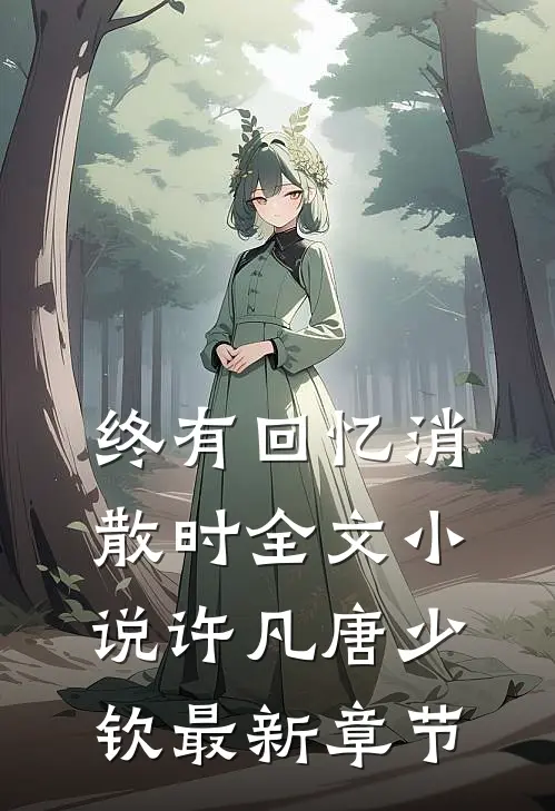 终有回忆消散时全文小说许凡唐少钦最新章节