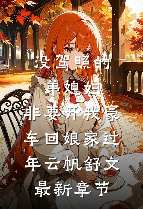 没驾照的弟媳妇，非要开我豪车回娘家过年云帆舒文最新章节