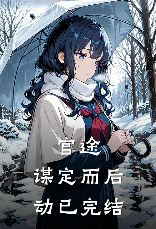 官途：谋定而后动已完结