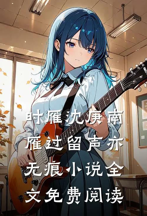 时雁沈庚南雁过留声亦无痕小说全文免费阅读