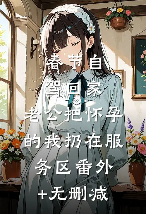 春节自驾回家，老公把怀孕的我扔在服务区番外+无删减