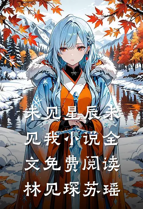 未见星辰未见我小说全文免费阅读林见琛苏瑶