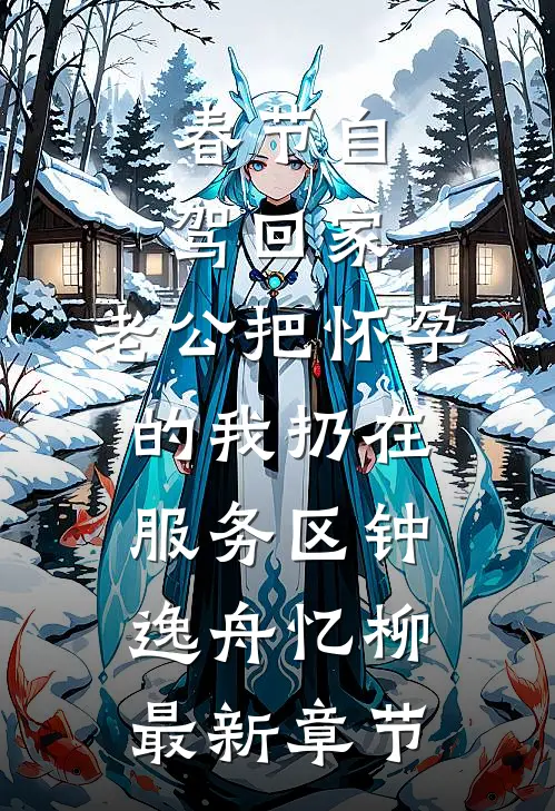 春节自驾回家，老公把怀孕的我扔在服务区钟逸舟忆柳最新章节