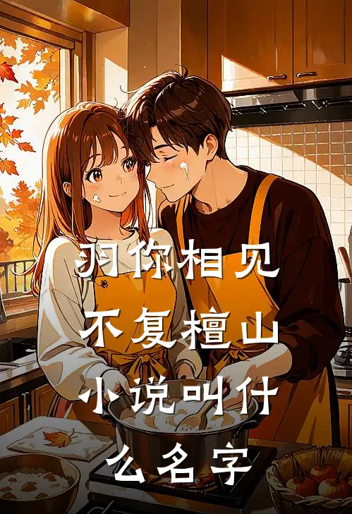 羽你相见，不复檀山小说叫什么名字