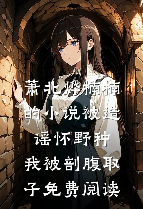 萧北烨楠楠的小说被造谣怀野种，我被剖腹取子免费阅读