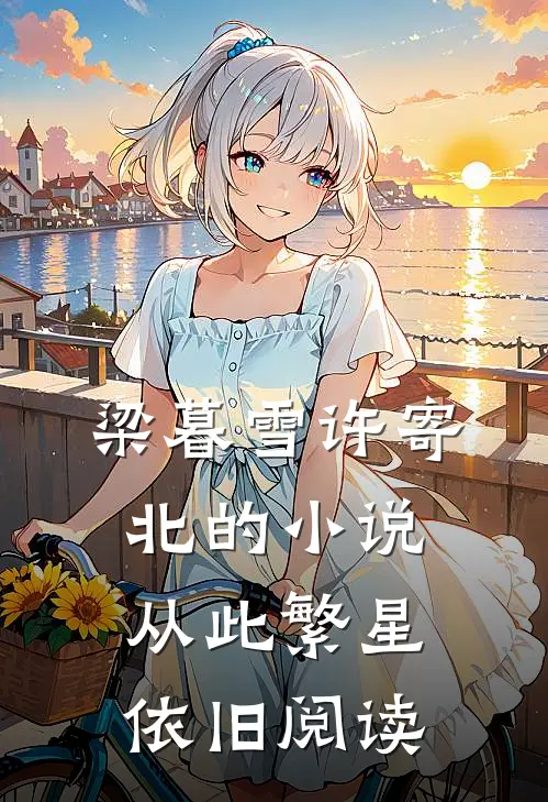 梁暮雪许寄北的小说从此繁星依旧阅读