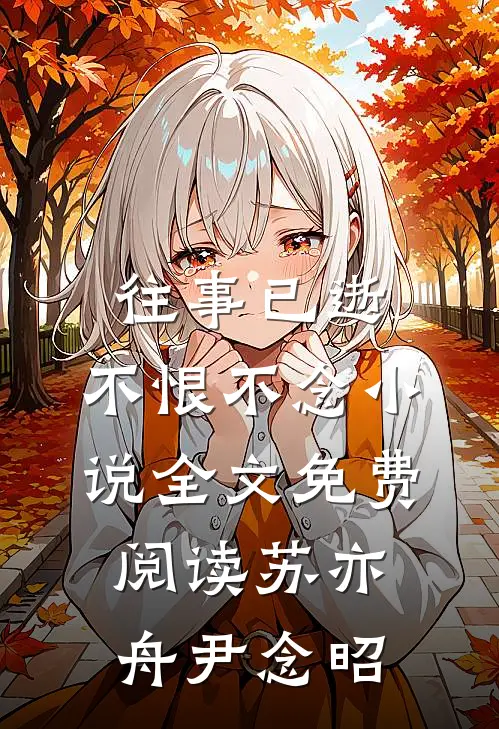 往事已逝，不恨不念小说全文免费阅读苏亦舟尹念昭