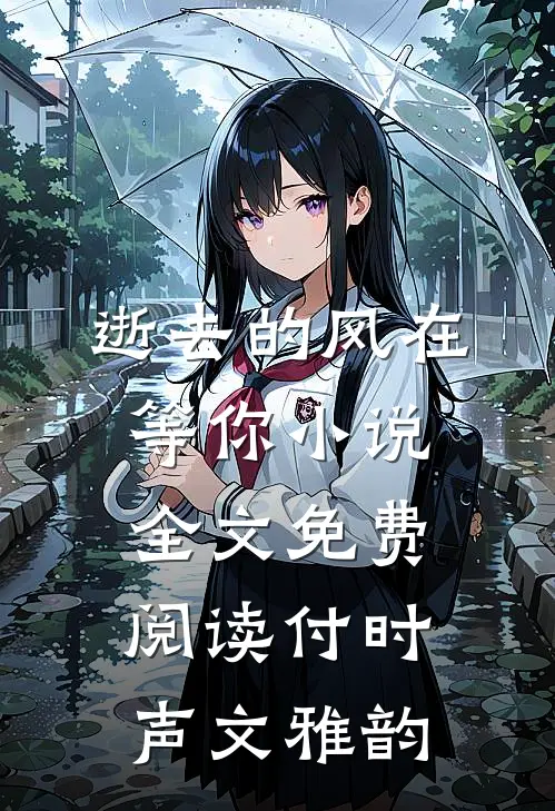 逝去的风在等你小说全文免费阅读付时声文雅韵