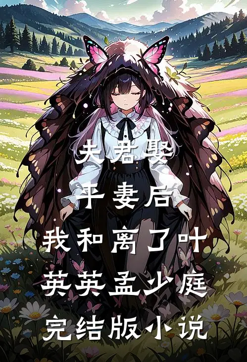 夫君娶平妻后，我和离了叶英英孟少庭完结版小说