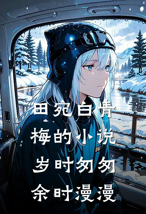 田宛白青梅的小说岁时匆匆余时漫漫