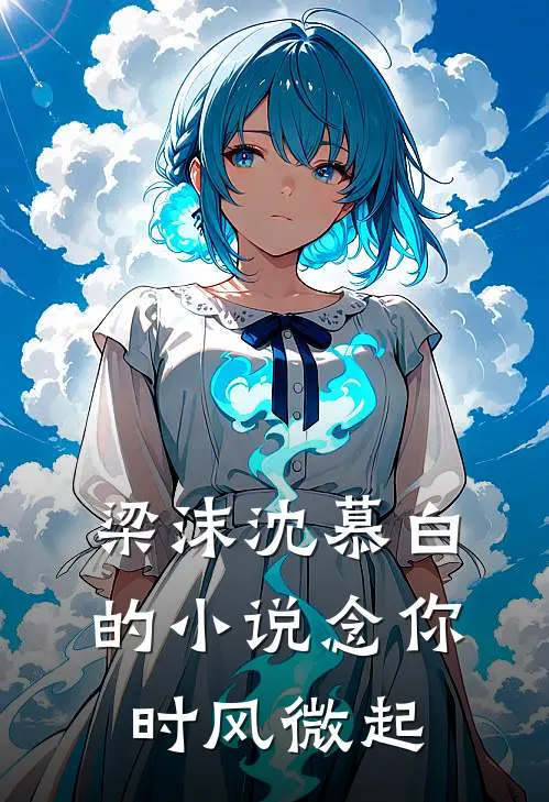 梁沫沈慕白的小说念你时风微起