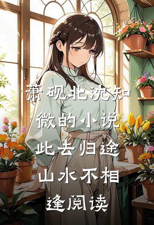 萧砚北沈知微的小说此去归途，山水不相逢阅读