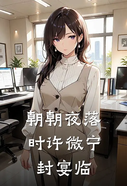 朝朝夜落时(许微宁封宴临)
