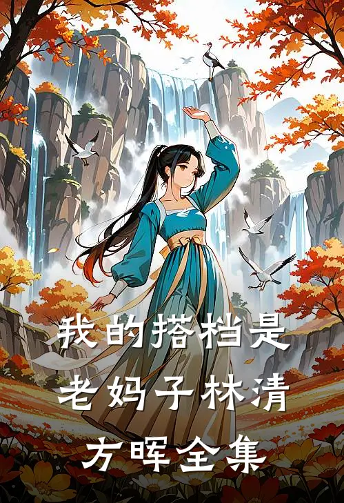我的搭档是老妈子林清方晖全集