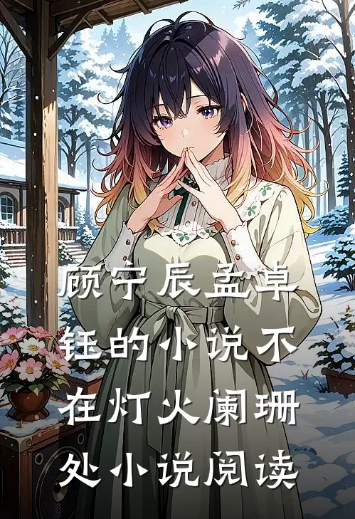 顾宁辰孟卓钰的小说不在灯火阑珊处小说阅读