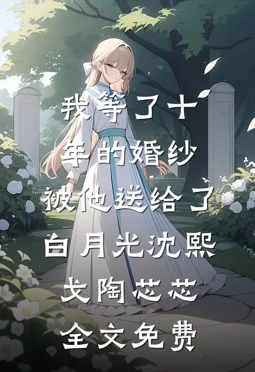 我等了十年的婚纱，被他送给了白月光沈熙戈陶芯芯全文免费
