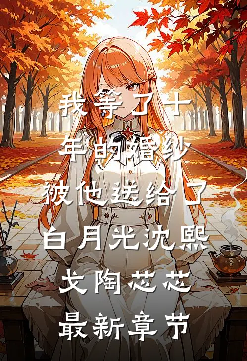 我等了十年的婚纱，被他送给了白月光沈熙戈陶芯芯最新章节
