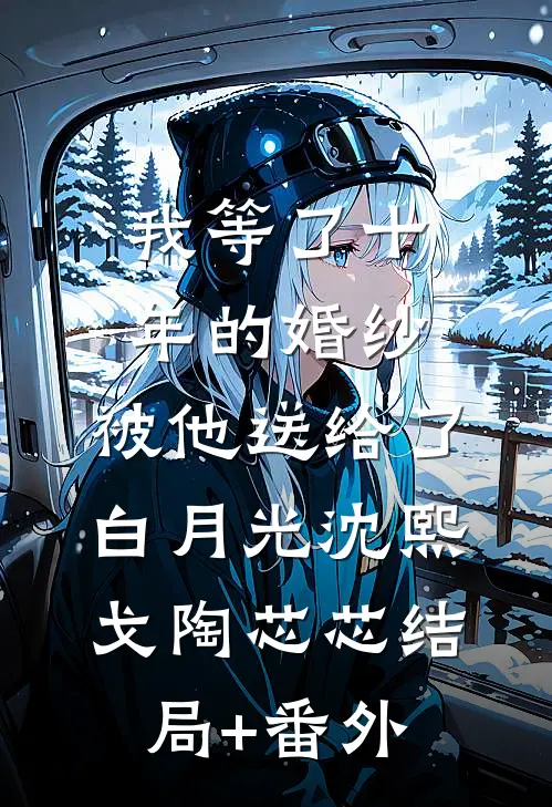 我等了十年的婚纱，被他送给了白月光沈熙戈陶芯芯结局+番外