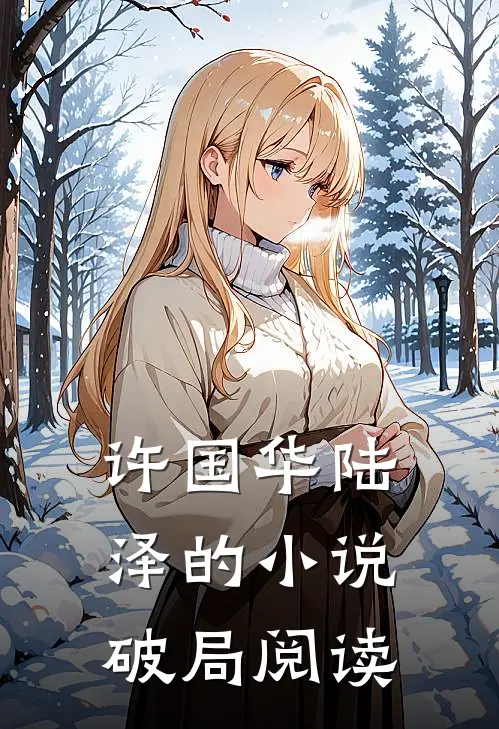 许国华陆泽的小说破局阅读