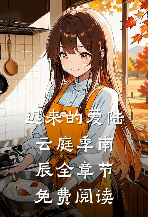 迟来的爱陆云庭季南辰全章节免费阅读