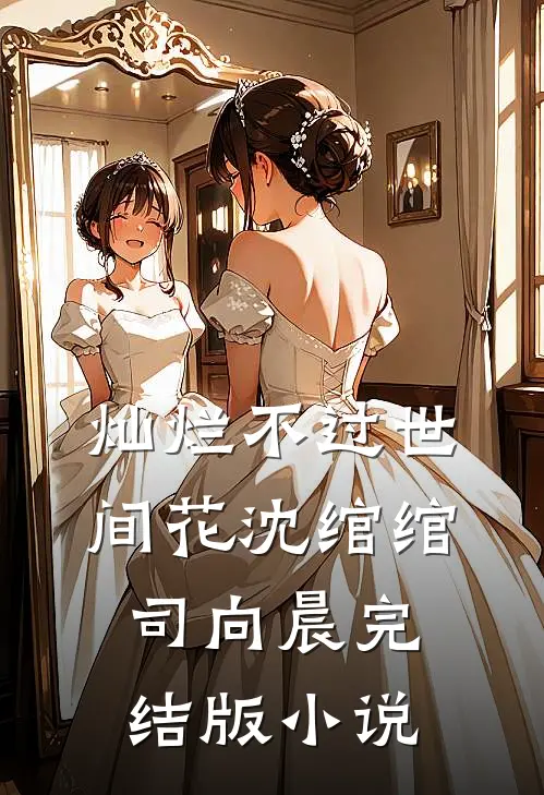 灿烂不过世间花沈绾绾司向晨完结版小说
