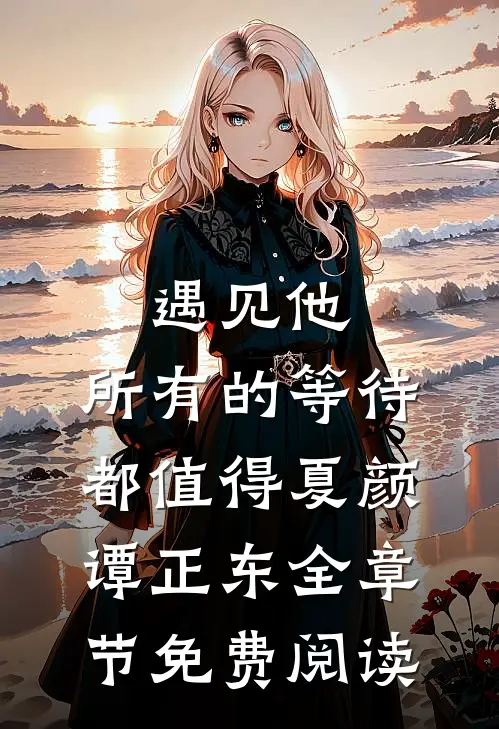 遇见他，所有的等待都值得夏颜谭正东全章节免费阅读
