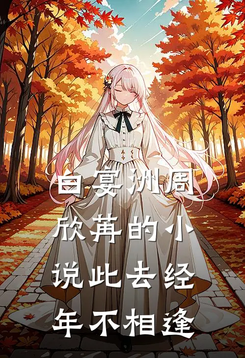 白宴洲周欣苒的小说此去经年不相逢