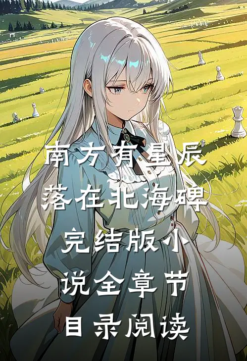 南方有星辰，落在北海碑完结版小说全章节目录阅读