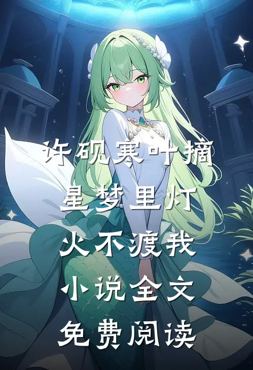 许砚寒叶摘星梦里灯火不渡我小说全文免费阅读