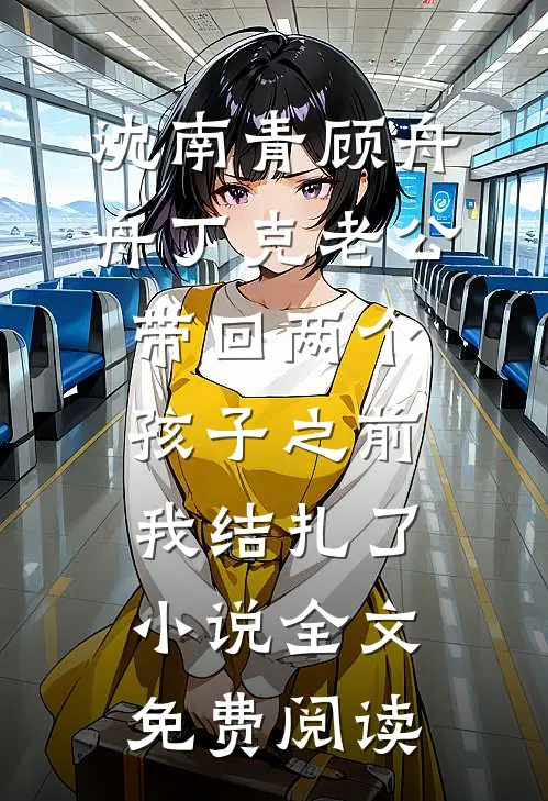 沈南青顾舟舟丁克老公带回两个孩子之前，我结扎了小说全文免费阅读