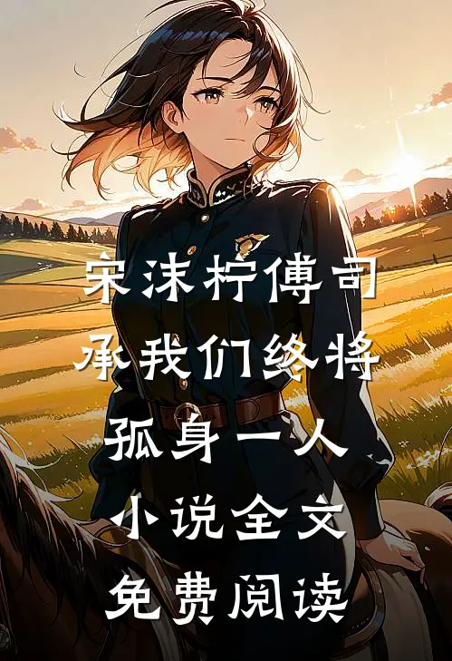宋沫柠傅司承我们终将孤身一人小说全文免费阅读