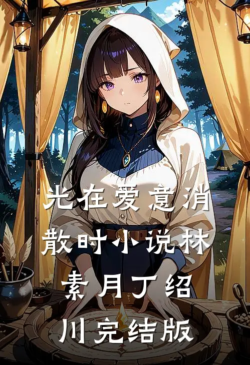 光在爱意消散时小说林素月丁绍川完结版