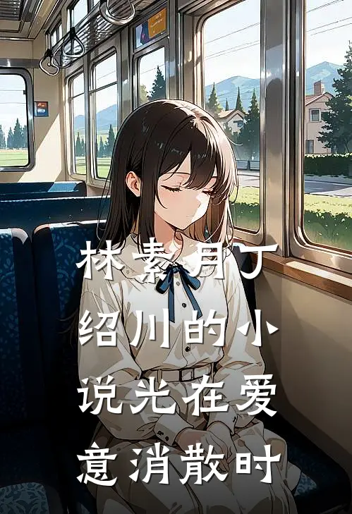林素月丁绍川的小说光在爱意消散时