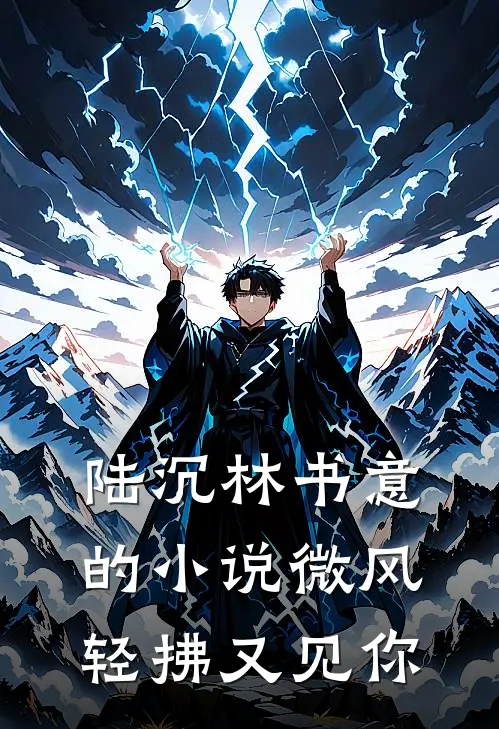 陆沉林书意的小说微风轻拂又见你